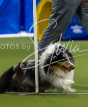 2025-7-12-July-Trial-768