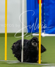 2025-7-12-July-Trial-77