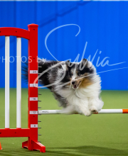 2025-7-12-July-Trial-771