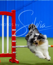 2025-7-12-July-Trial-772