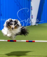 2025-7-12-July-Trial-774