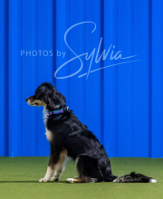 2025-7-12-July-Trial-780