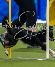 2025-7-12-July-Trial-781