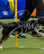 2025-7-12-July-Trial-783