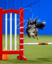 2025-7-12-July-Trial-788