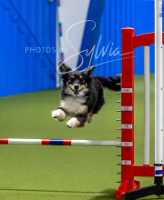 2025-7-12-July-Trial-792