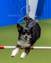 2025-7-12-July-Trial-793