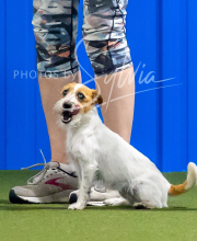 2025-7-12-July-Trial-797