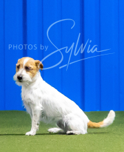 2025-7-12-July-Trial-799