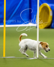 2025-7-12-July-Trial-808