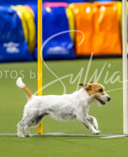 2025-7-12-July-Trial-811