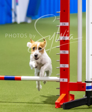 2025-7-12-July-Trial-820