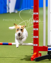 2025-7-12-July-Trial-821