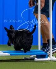 2025-7-12-July-Trial-826