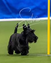 2025-7-12-July-Trial-827