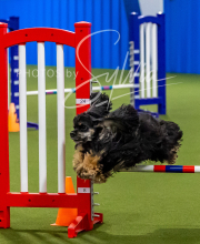 2025-7-12-July-Trial-83