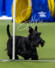 2025-7-12-July-Trial-830