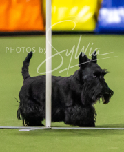 2025-7-12-July-Trial-834