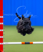 2025-7-12-July-Trial-838