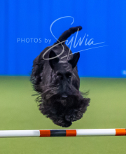 2025-7-12-July-Trial-839