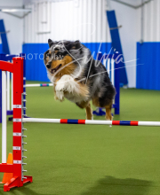 2025-7-12-July-Trial-84-2