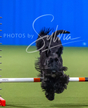 2025-7-12-July-Trial-840