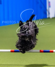 2025-7-12-July-Trial-842