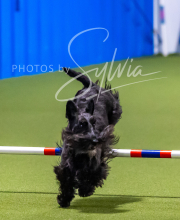 2025-7-12-July-Trial-843