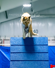 2025-7-12-July-Trial-844