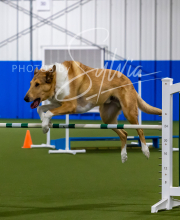 2025-7-12-July-Trial-846