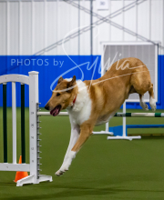 2025-7-12-July-Trial-848