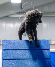 2025-7-12-July-Trial-849