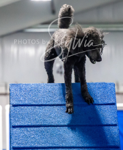 2025-7-12-July-Trial-850