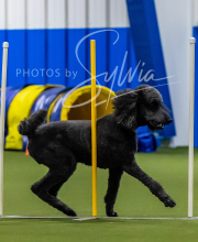 2025-7-12-July-Trial-852