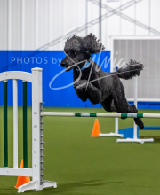 2025-7-12-July-Trial-856