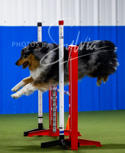 2025-7-12-July-Trial-86-2