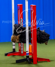 2025-7-12-July-Trial-86