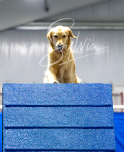 2025-7-12-July-Trial-860