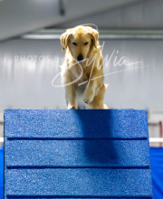 2025-7-12-July-Trial-862