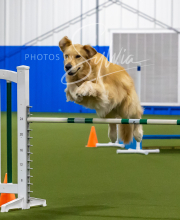 2025-7-12-July-Trial-864