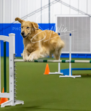 2025-7-12-July-Trial-865