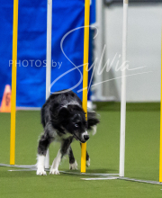 2025-7-12-July-Trial-87-2