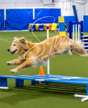 2025-7-12-July-Trial-871