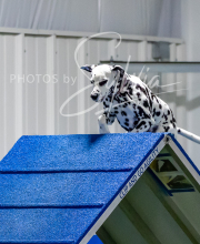 2025-7-12-July-Trial-872