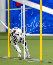 2025-7-12-July-Trial-875