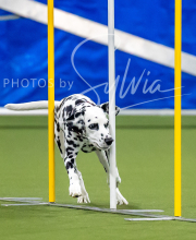 2025-7-12-July-Trial-881