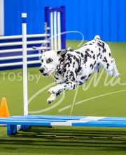 2025-7-12-July-Trial-882