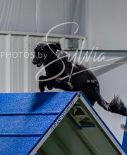 2025-7-12-July-Trial-886