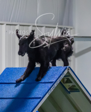 2025-7-12-July-Trial-888