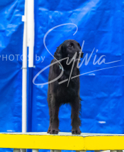 2025-7-12-July-Trial-889